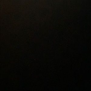 Meet your Posher, Gavin